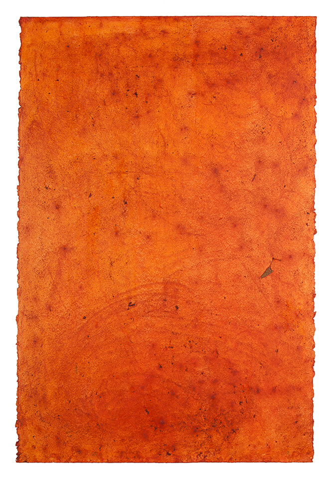 ACHIOTE papel 22.jpg